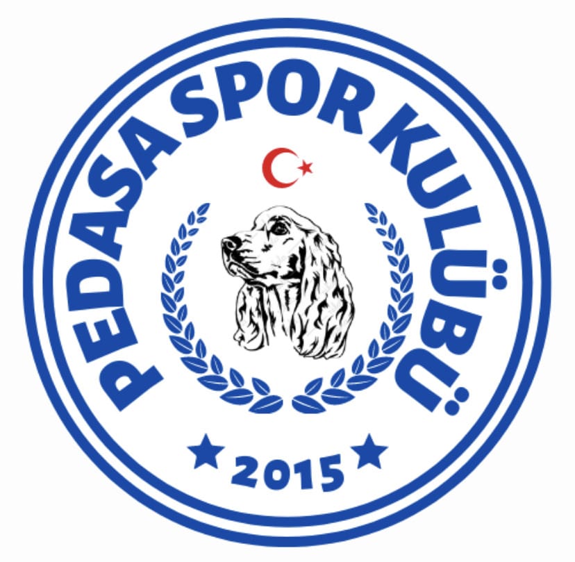 Pedasa FSK arma